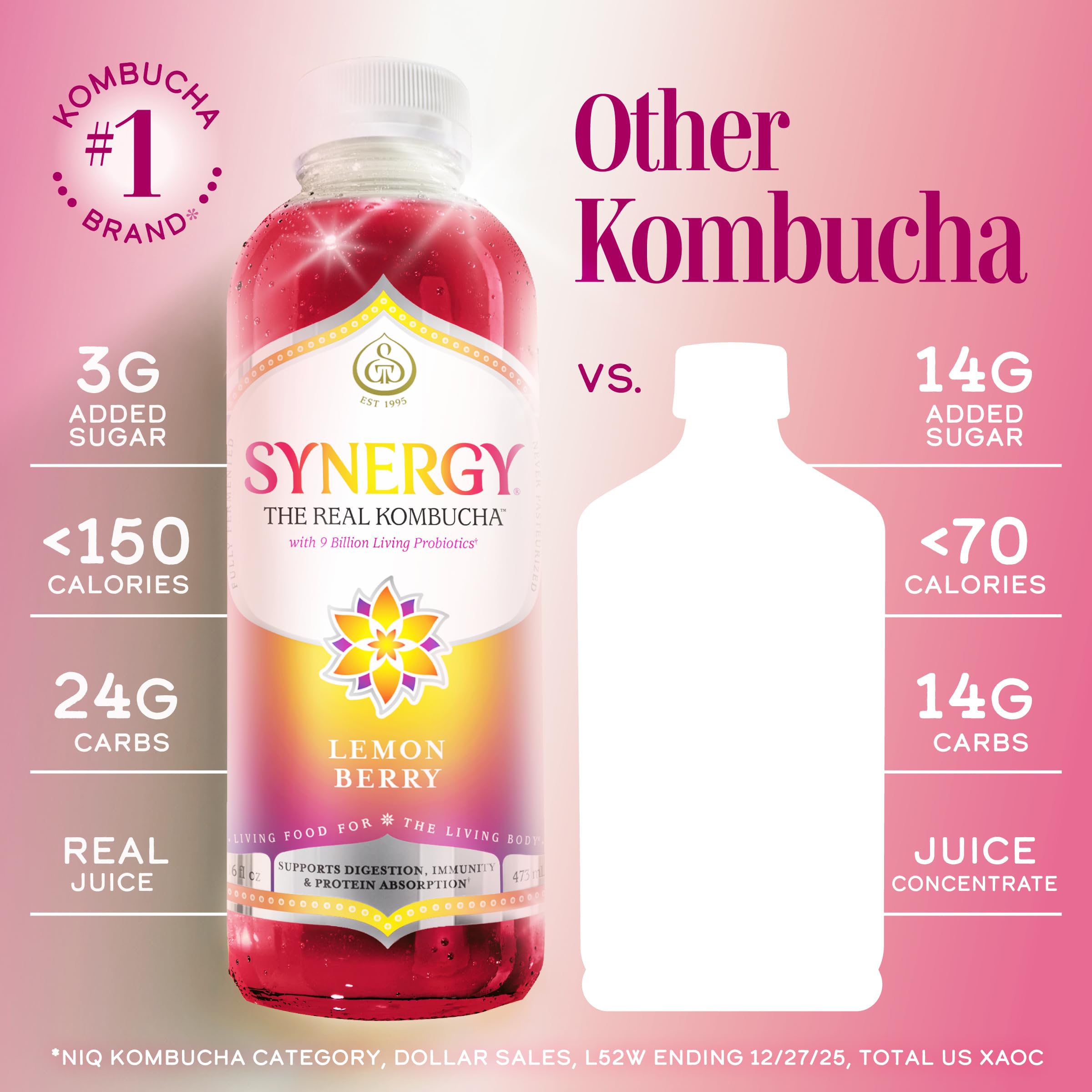 Amazon.com: SYNERGY The Real Kombucha - Lemon Berry - 16 fl oz